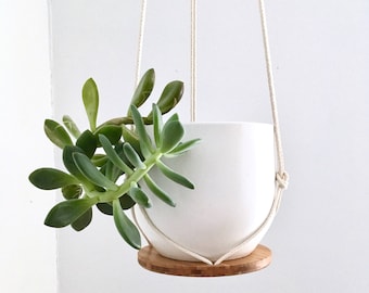 Recycled Wood and Cotton Plant Hanger