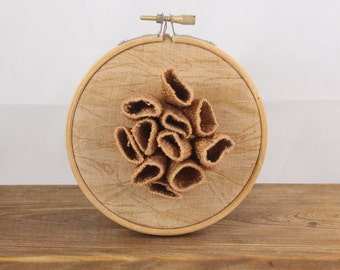Embroidery hoop wall art barnacle coral sponge beach art sculpture contemporary 3D form