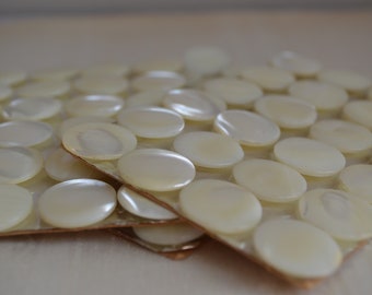 Card of 24 MOP shank buttons from the 1940s, 20mm