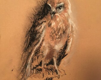 Hawk picture, original hawk print, art, bird of prey, gift, sketch