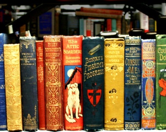 Set of 25 Antique Decorative Spine Books