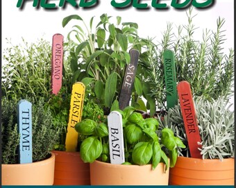 Mediterranean Herb Seeds Basil, Lavender, Oregano, Parsley, Rosemary, Sage, Thyme FREE SHIPPING