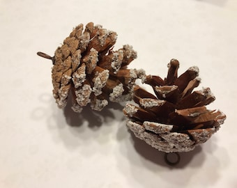 5 natural with snow edge pine cone ornaments, on avarage 2 - 2 1/2 inch