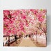 Cherry blossoms/ Sakura Paint By Number kit/ gift for her/ gift for him/ Diy painting/ Easy painting/ modern art/ sakura lover gift/ decor
