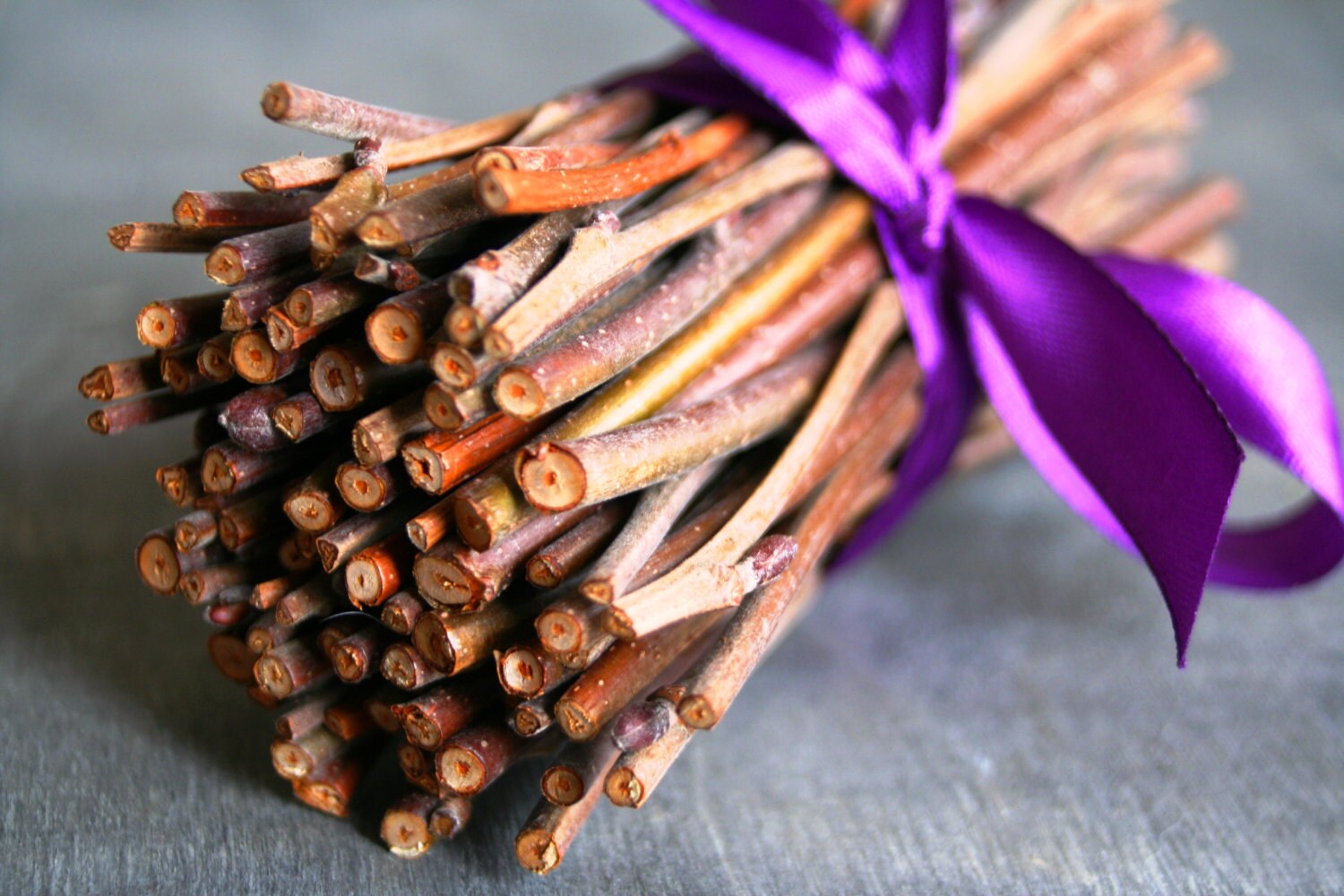 BRANCH Thin Craft sticks Natural Branch Willow Tree