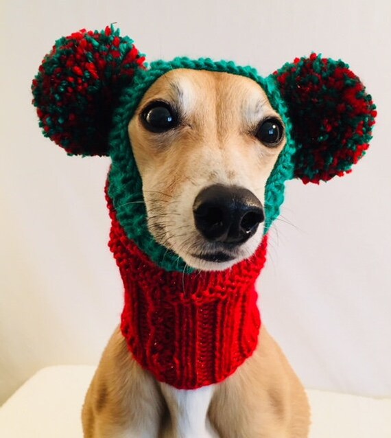 Hund Snood Pompom mittelgroße Whippet Windhund