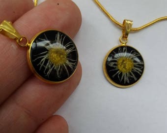 necklace with real daisy flower