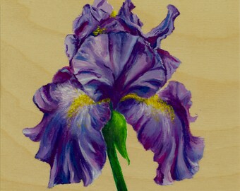 Purple Iris Painting in Acrylic on wood panel.