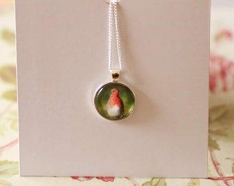 Robin Necklace. Robin Pendant. Robin Photo Necklace. Robins. Bird. Gift.