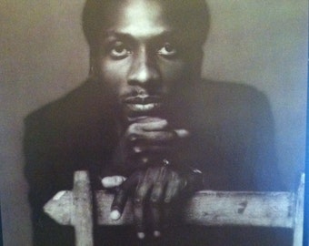 Jimmy Cliff Follow My Mind Vinyl Reggae Record Album