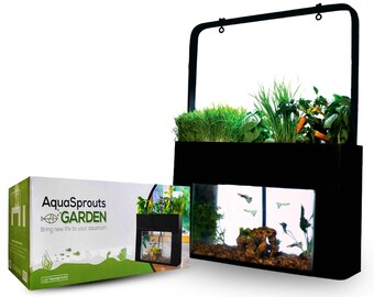 AquaSprouts Aquaponics garden