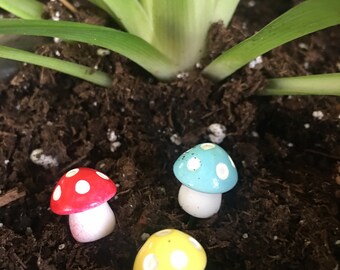 Mini Mushroons