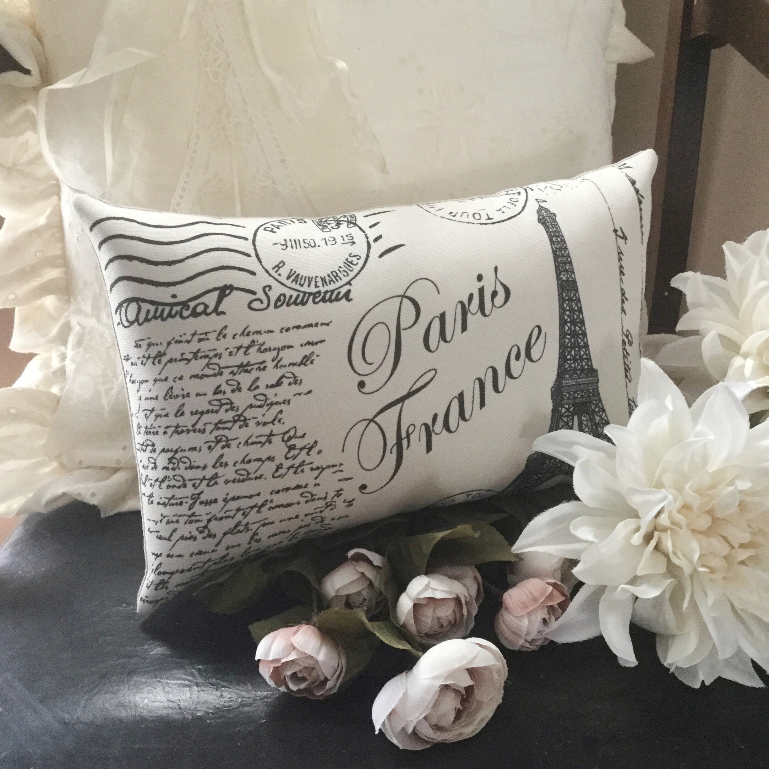 Paris France pillow