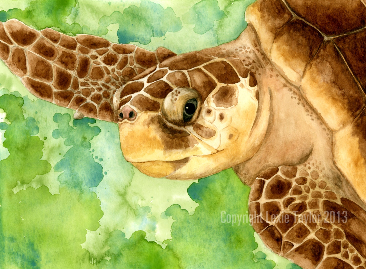 Loggerhead sea turtle giclee print