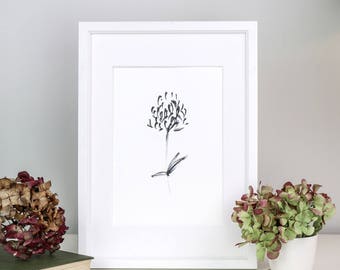 Black and White Wild Clover Flower Fine Art Limited Edition Giclee Print
