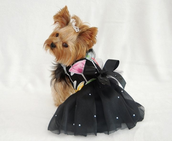Dog Dress Harness New Years Celebrate Dog Party Dress