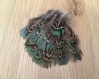 European Pheasant feathers / small feathers, body feathers, real feathers, natural feathers, earthy feathers, pretty feathers,accent feather