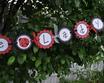Ladybug Baby Shower Banner - It's a Little Lady Banner - Baby Shower Decorations - Ladybug Banner