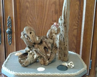 Driftwood Art-Driftwood Pieces-Seashell and Driftwood Art-Seashell Art-Gift For Beach House-Gift For Beach Lover