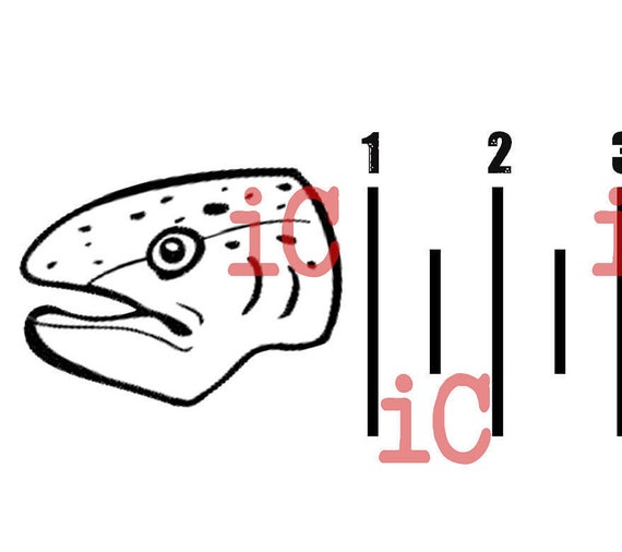 Download SVG TROUT Eat Sleep Fish with ruler