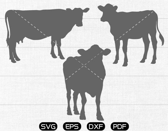 Download Cow SVG Moo-cow Clipart cricut silhouette cut files