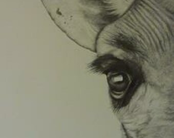 Original Pencil Drawing of a Giraffe