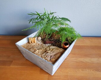 Mini zen garden