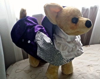Dog Purple Rain Prince Costume Coat for all size dogs