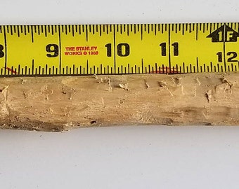 Magic Wand: Indian Cherry Wood