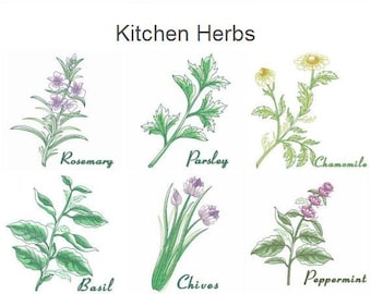 Kitchen Herbs Machine Embroidery Designs Instant Download 4x4 5x5 6x6 hoop 10 designs SHE5166