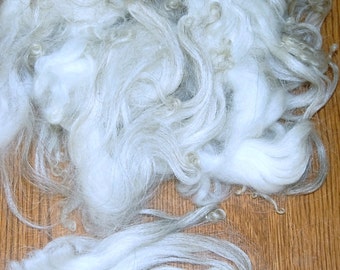 Karakul Sheep Wool Locks for Spinning, Felting, Santa Beards, Doll Hair, Doll Wig, Cream White with Taupe Gray Highlights 1 oz.