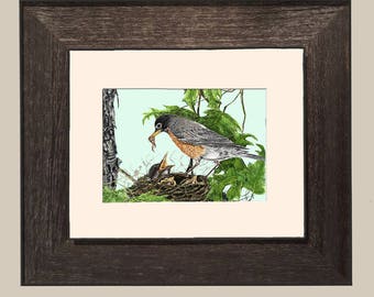 Robin with Babies_Framed- FHGray