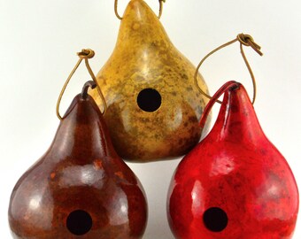 Gourd Birdhouses Painted Gourd Art Garden Art Bird Lovers Gift or Mothers Day Gift