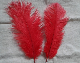 set of 2 red ostrich feathers