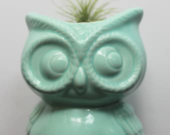 Vintage Blue Ceramic Owl Planter - Vase 1970s
