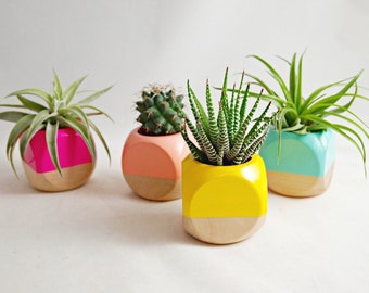 Mini Geometric Planter (Plant not included) // Succulent Planter // Air Plant Planter