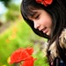 CROCHET PATTERN Garden Party. POPPY Pin/Headband Crochet Pattern in Pdf eBook