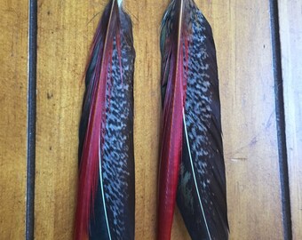 Brown and Red Pheasant Feather Earrings