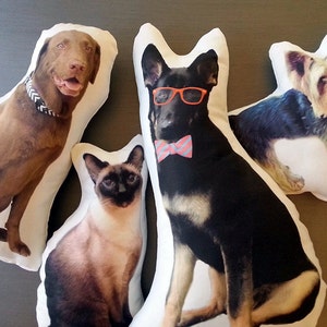 Custom Pet Photo Pillow, Personalized Pet Pillow, College Student Gift, Dorm Room, Graduation Gift, Going to College, Mother's Day Gift