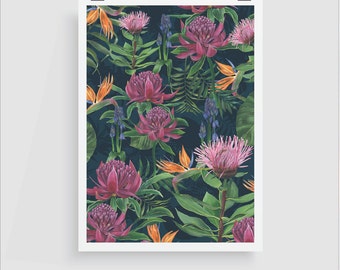 Australian botanicals A3 print