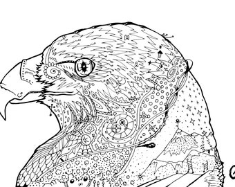 Eagle coloring page | Etsy