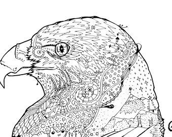 Eagle coloring page | Etsy