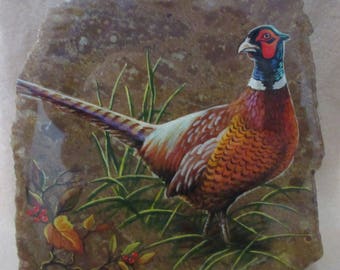 Pheasant On Bird's Eye Rhyolite