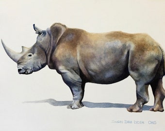Rhinoceros
