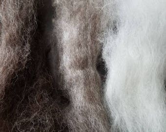 Breed sampler wool sampler combed top multi breed fiber sampler pack spinning felting