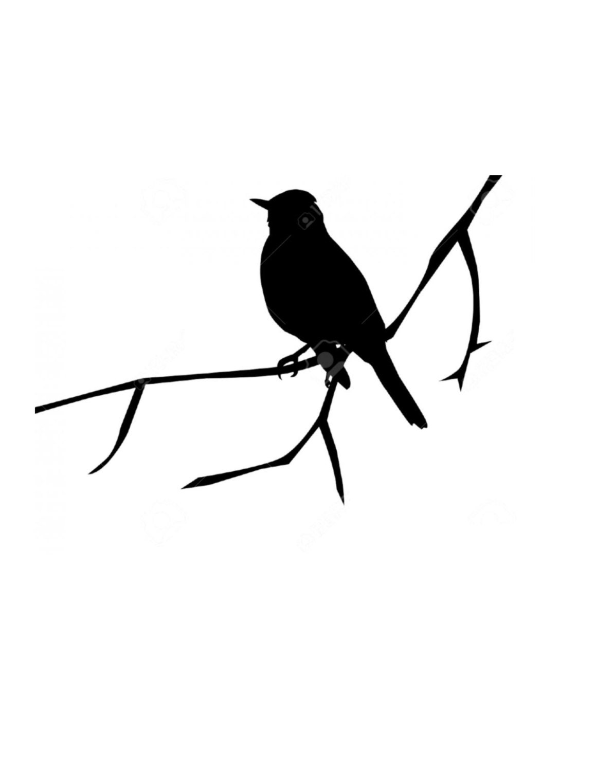 bird on branch stencil made from 4 ply mat board choose a