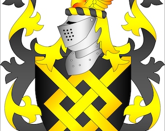 Custom Coat of Arms/ Heraldry