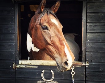 Personalised Horse Name Tag