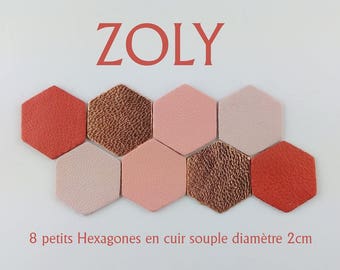8 small hexagons diameter 2cm 4 colors