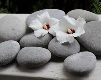 Grey Lake Stone Collection of 10 for Crafts , DIY Wedding , Natural Garden Decoration